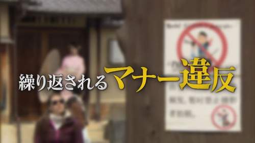 【日本が食い荒らされる】春の京都で観光公害に住民悲鳴！注意したら「殺すぞ」罵声、私有地で無断撮影、住宅地に食べ歩きのゴミ…行き過ぎた“オーバーツーリズム”の実態