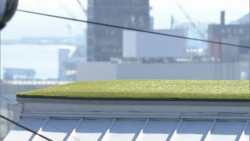 【北野クラブ事故】結婚式撮影のカメラマンが屋上から転落　前撮り中、柵がない場所で後ずさりか　意識不明で救急搬送