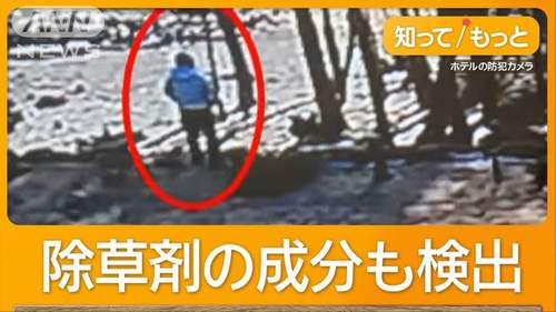 【富士河口湖町事件】中国籍のホテル経営者ら男４人逮捕　富士山を眺めやすく…勝手に他人の土地の樹木伐採　器物損壊容疑　雇用調整助成金も不正受給