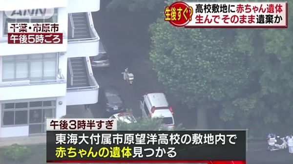 千葉市原 東海大望洋 校舎裏に赤ちゃん遺体 女子生徒が発見 News Geispo 千葉市原 東海大望洋 校舎裏に赤ちゃん遺体 女子生徒が発見 News Geispo