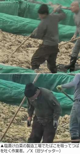 中国の白菜工場で唾吐き喫煙動画が拡散｜衛生管理の実態に非難殺到
