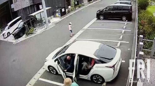 【第三者介在?】「松戸小1女児行方不明事件」の謎 水を嫌う朝芽さん、水際まで行って靴を脱ぐ? 目撃情報“家族連れ”に見えた可能性も…