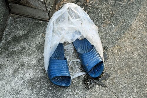 【群馬・豚大量盗難】闇ルートで転売か、SNSに不審な書き込み＝太田市で犯人のサンダル