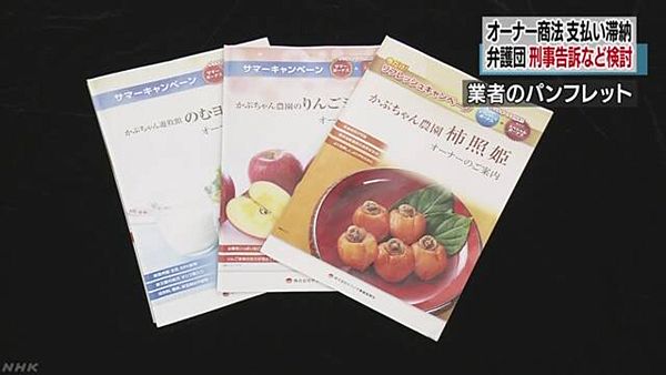 【オーナー商法被害】ケフィア事業振興会 出資法違反、詐欺の可能性＝弁護団が刑事告訴など検討