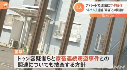 【群馬・解体アパート】室内で豚解体、ベトナム人技能実習生ら4人逮捕＝家畜盗難との関連捜査