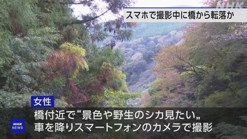 【要害橋転落事故】「鹿が見たい」スマホ撮影中に約40ｍ転落か 20代女性死亡 静岡・東伊豆町