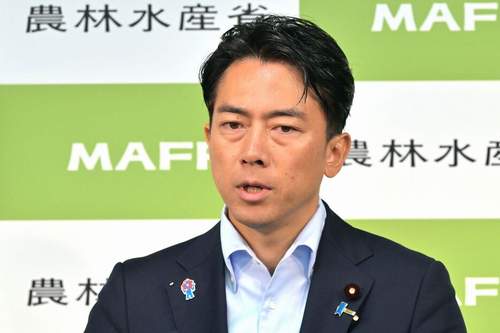 自民党総裁選2025でステマ疑惑が報じられた小泉進次郎氏陣営のイメージ｜牧島かれん事務所がメール送信