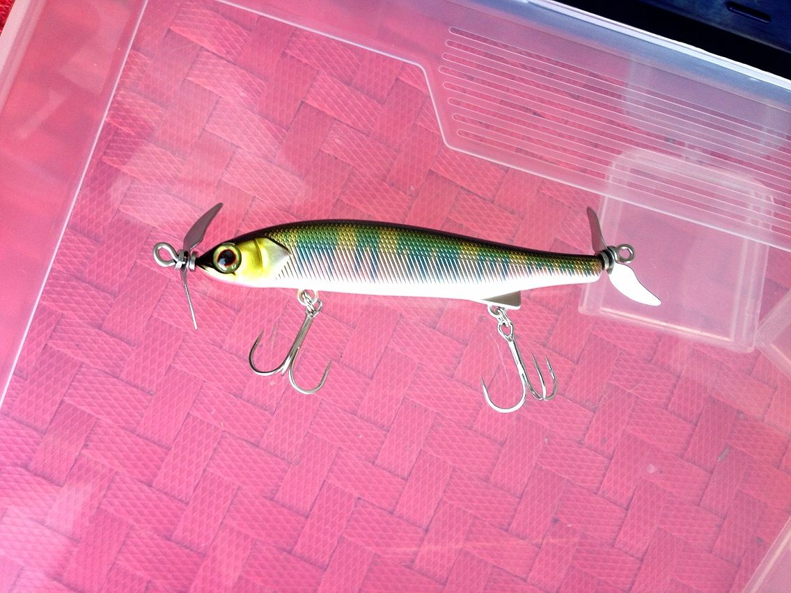 サイカチ沼 小バスアングラー釣行記