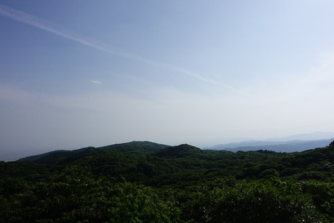 DSC06199