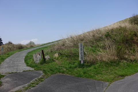 DSC05455