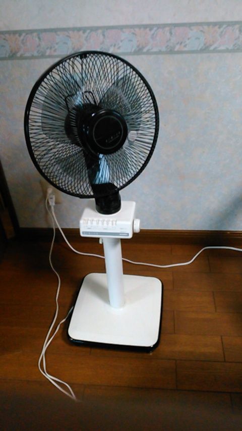 £±£¹£°£¸£°£µÀðÉ÷µ¡