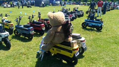 P_20180520_130939_vHDR_Auto(1)