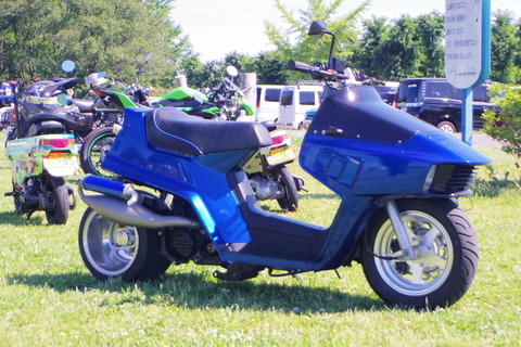 IMGP2527