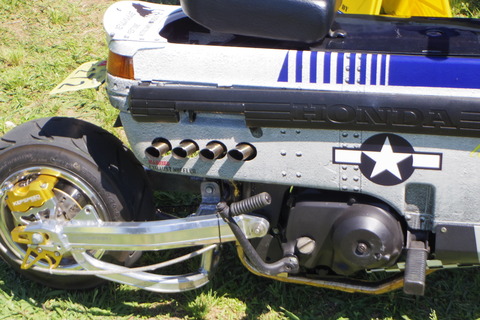 IMGP2520