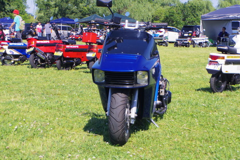 IMGP2528
