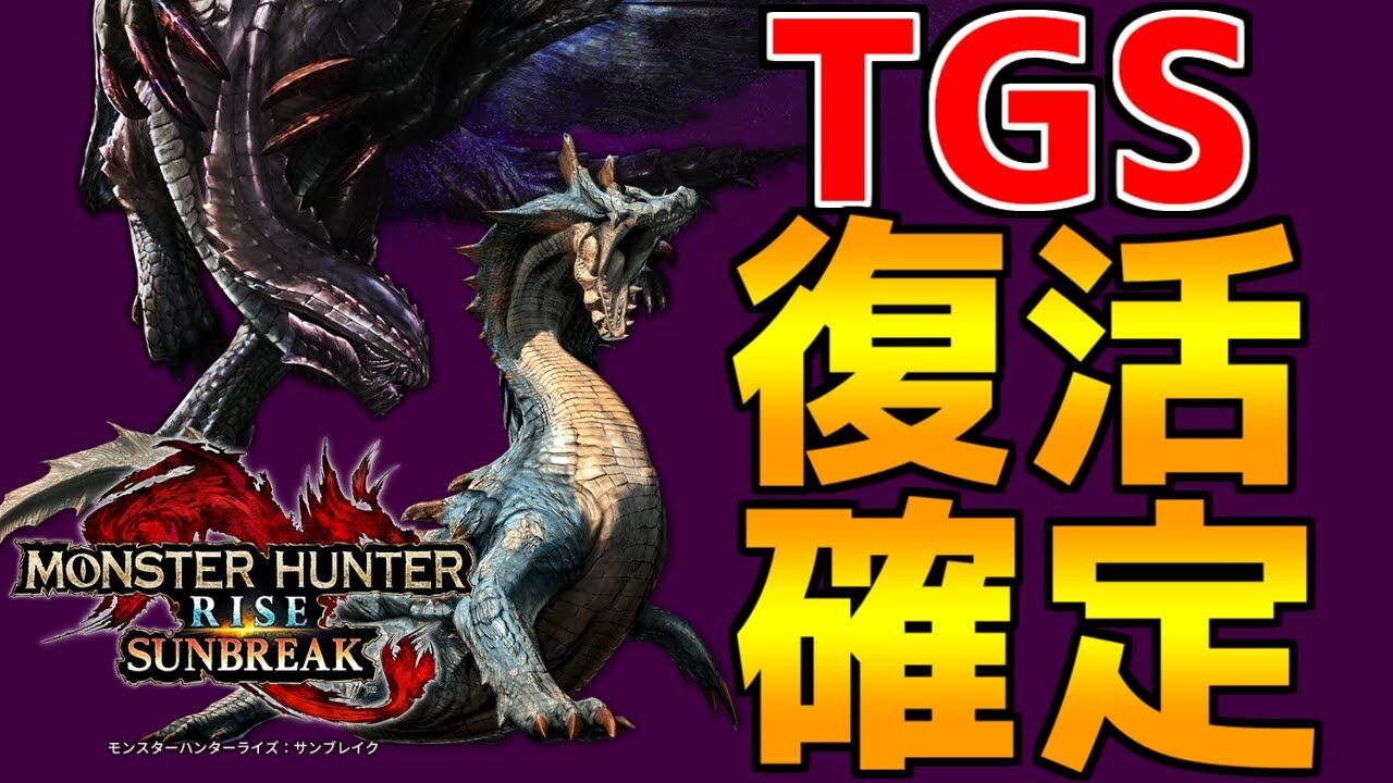 速報 これガチ モンハンライズさん Tgsの最新情報がリークされてしまう ゲーマー速報