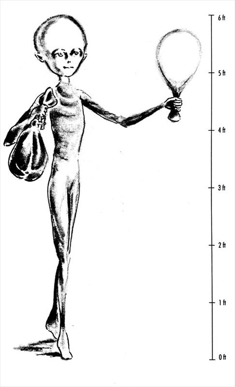 文書名 _fieldguide extra_R