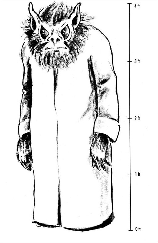 文書名 _fieldguide extra_R