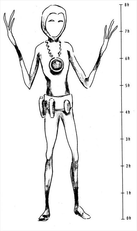 文書名 _fieldguide extra-2_R