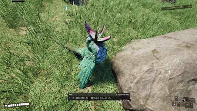 口を広げると中が花の様になっている不思議な原生生物