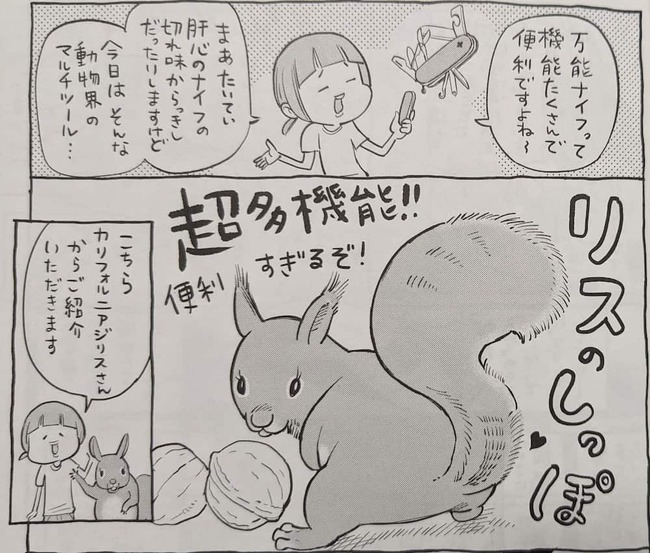 動物界のマルチツールである、リスのしっぽについて語っていこうとしている作者