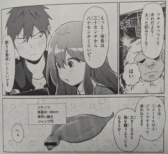 ツチノコのジャンプ力や素早さなどの生態について旭に説明している御影