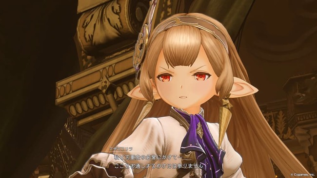 ここを通す訳には行かないと団長たちに言い放つマギラフリラ