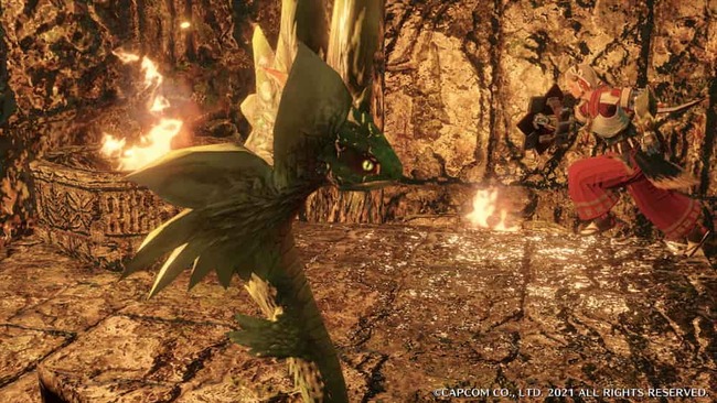 写真システムで撮られているピラミッド内のレア生物