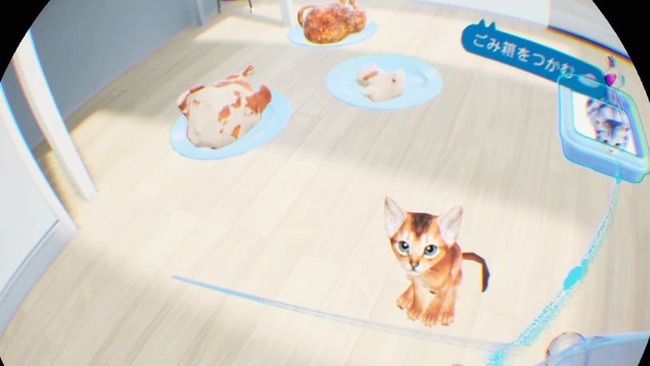 プレイヤーの足元からこちらを見上げてくるアビシニアン