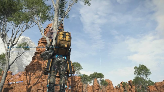 木の上にいるコアラに梯子を登って近づくサム