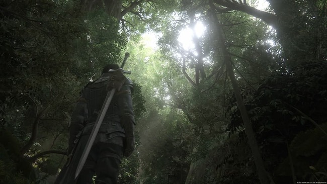 うっそうとした森の木漏れ日の中を先へ進むクライヴ