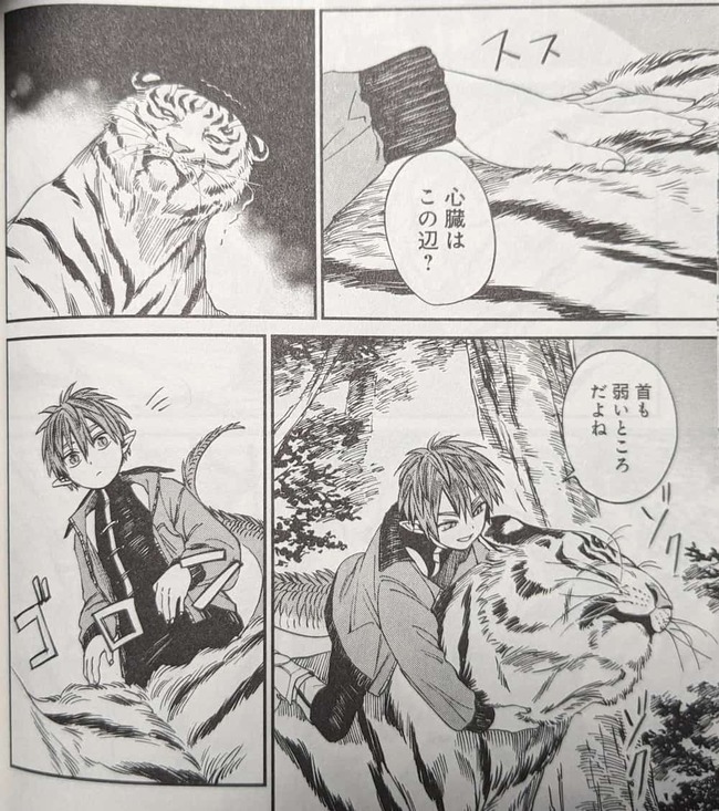 龍に体を撫でられてたまらなくなってしまっている虎