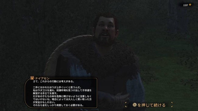 今後の行動についてプレイヤーと話し合う兄ナイアセン