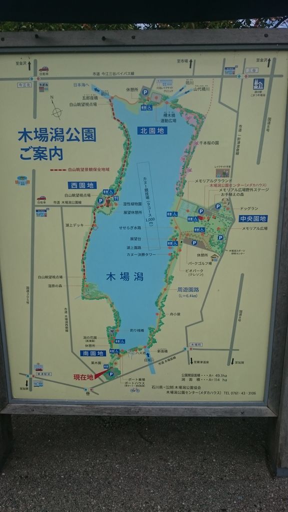 石川県小松市木場潟での釣りは四次元空間 ついに来た 50センチupランカーバス やっぱ石川っていいわ 石川県小松市木場潟での釣りは四次元空間 ついに来た 50センチupランカーバス やっぱ石川っていいわ