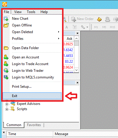 miracle020-MT4終了