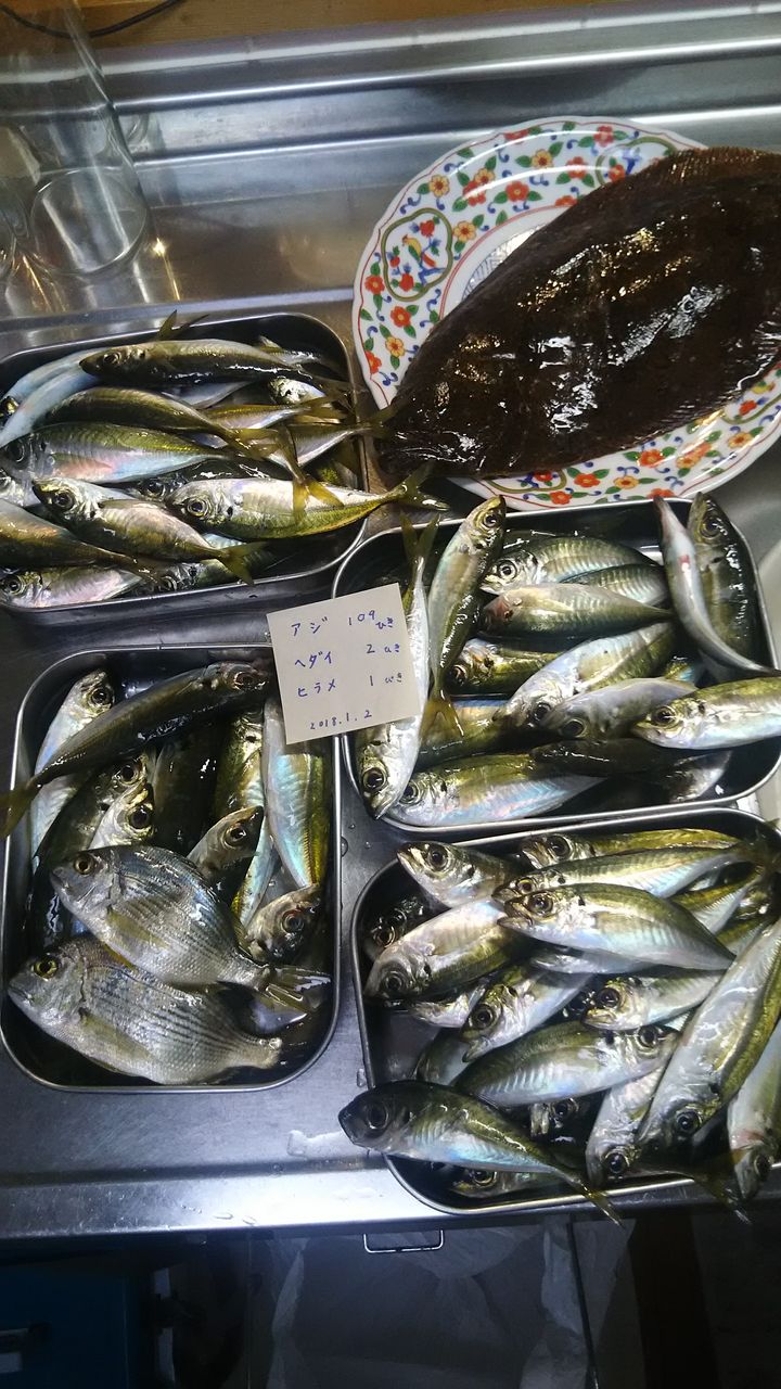 １月 外房釣り 今年初釣行で堤防から４０ｃｍヒラメと大量アジげっと 外房でシマアジ ヒラメ釣りのじぇみないブログ