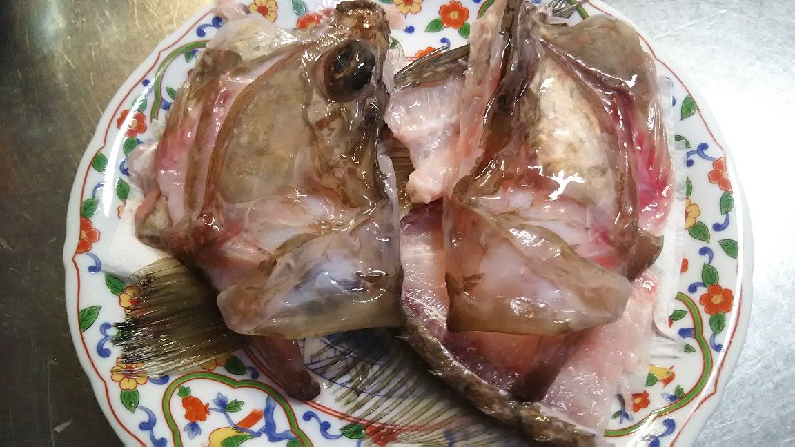 ４１ｃｍのマトウダイ 馬頭鯛 的鯛 をさばいて美味しい刺身の作り方 刺身編 外房でシマアジ ヒラメ釣りのじぇみないブログ