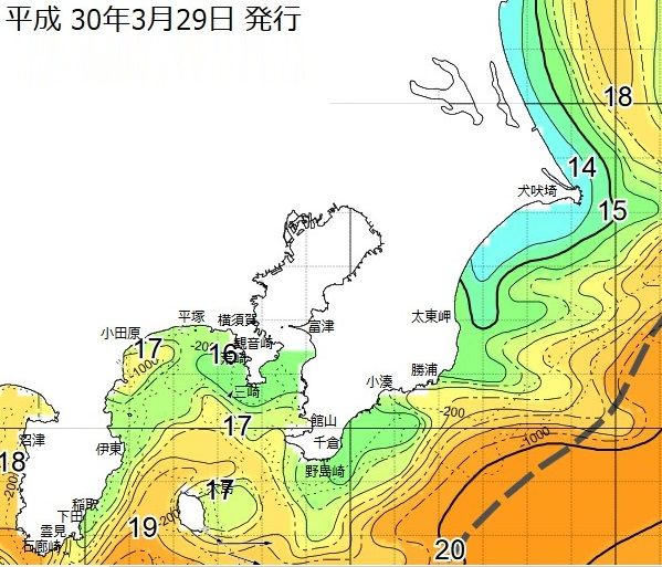 WS000441