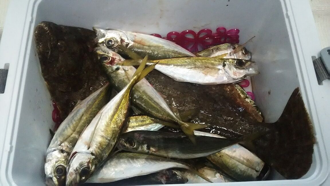 １２月 外房 泳がせ好調 アジでヒラメを釣る 外房でシマアジ ヒラメ釣りのじぇみないブログ
