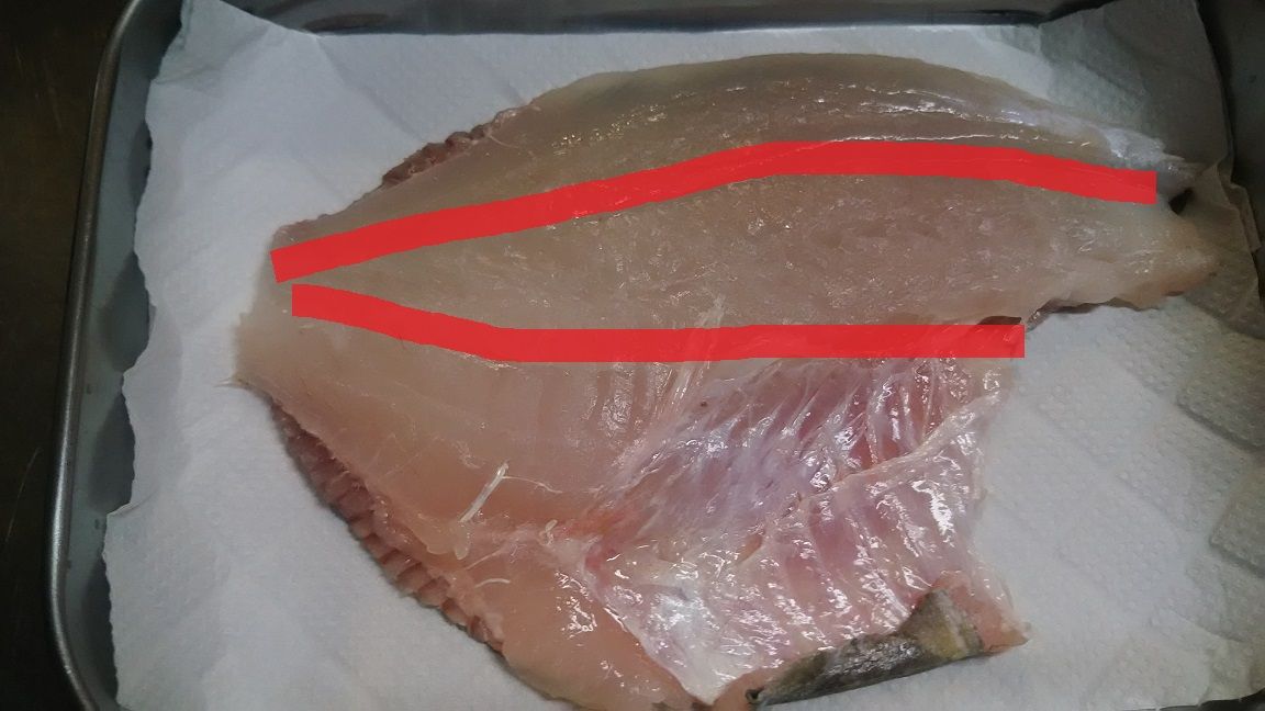 ４１ｃｍのマトウダイ 馬頭鯛 的鯛 をさばいて美味しい刺身の作り方 刺身編 外房でシマアジ ヒラメ釣りのじぇみないブログ