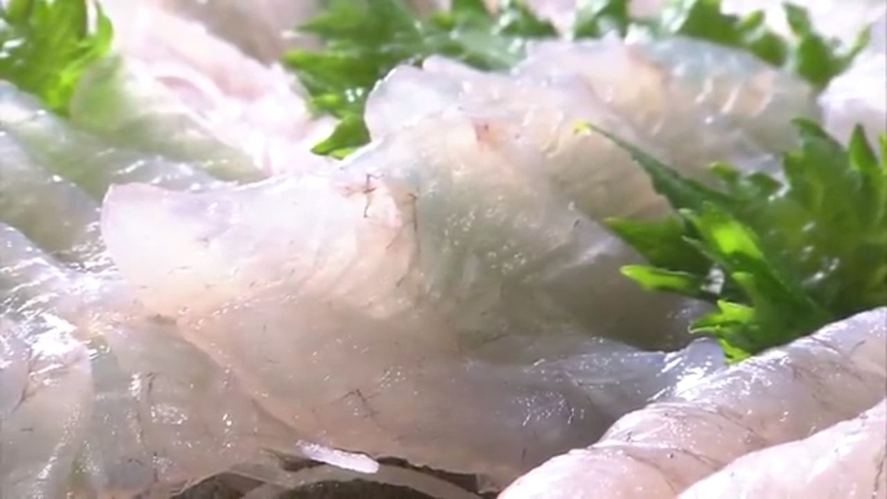 釣り番組 外房でシマアジ ヒラメ釣りのじぇみないブログ