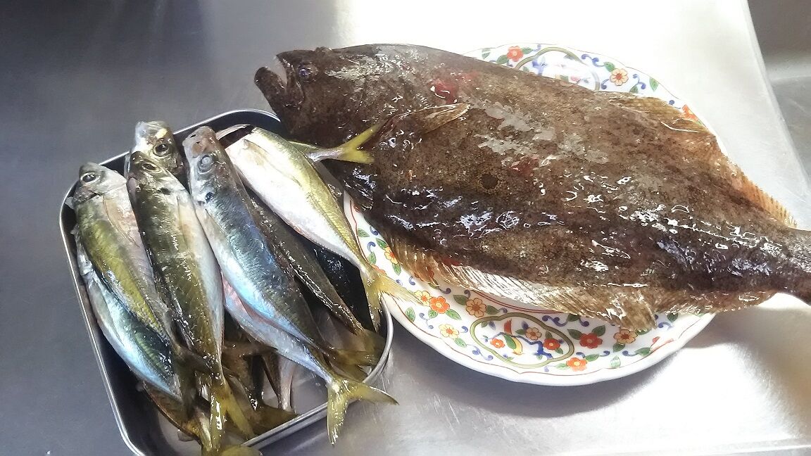 １２月 外房 泳がせ好調 アジでヒラメを釣る 外房でシマアジ ヒラメ釣りのじぇみないブログ