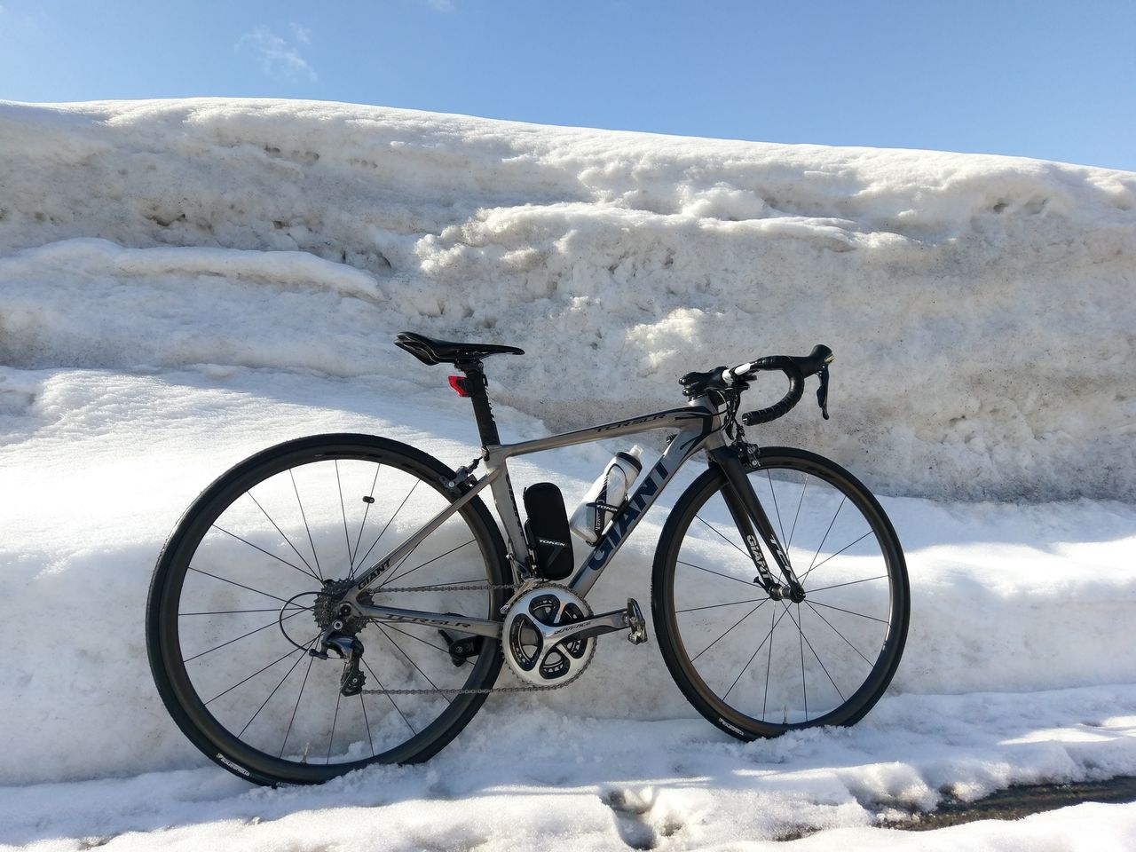giant tcr slr1 2019