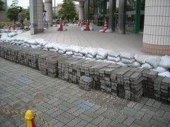 DSCN4167.JPG DSCN4167.JPG