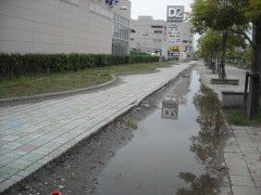 DSCN4172.JPG DSCN4172.JPG