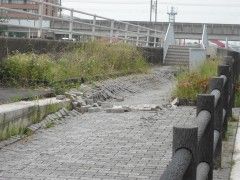 DSCN4159.JPG DSCN4159.JPG