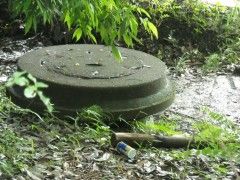 DSCN4152.JPG DSCN4152.JPG
