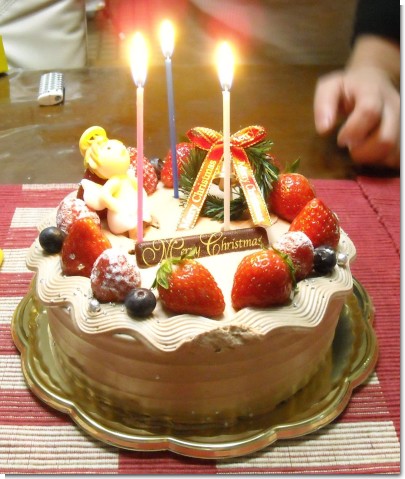 L Olioli ロリオリ の30個限定生チョコクリスマスケーキ ガラパゴス日記 L Olioli ロリオリ の30個限定生チョコクリスマスケーキ ガラパゴス日記