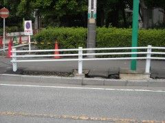 DSCN4157.JPG DSCN4157.JPG