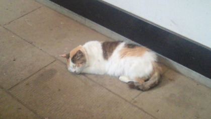 201106231445000